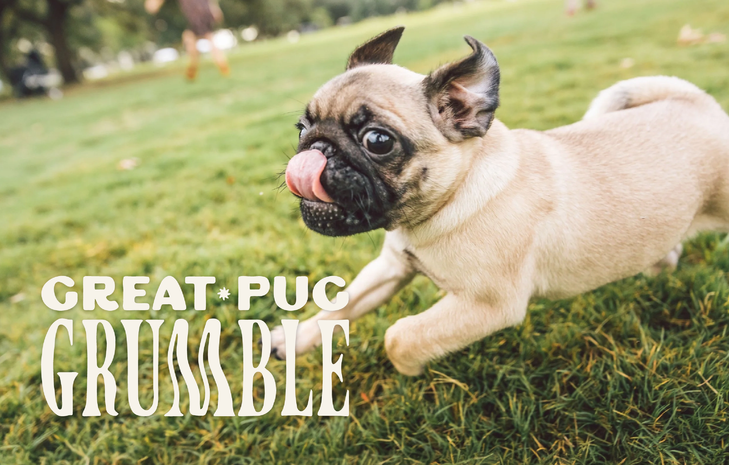 Great Pug Grumble
