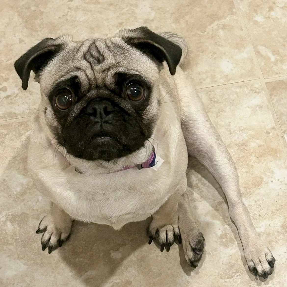 Ballerina