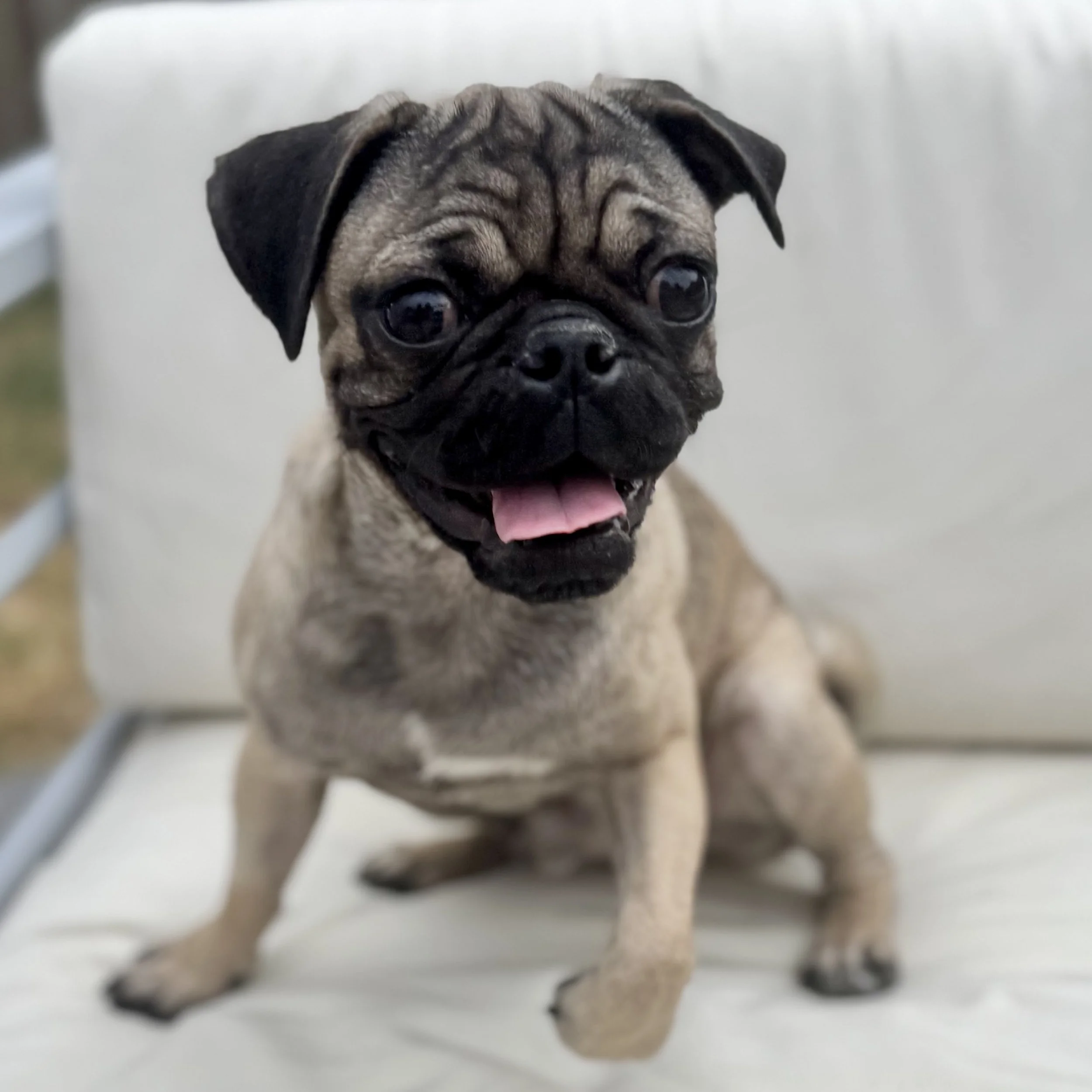 TaterTot-1.jpg