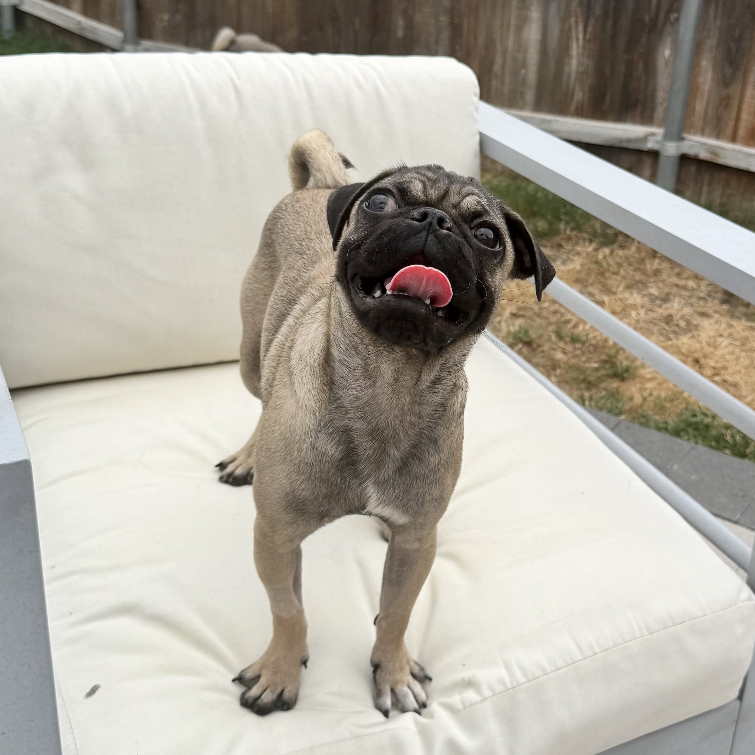 TaterTot-3.jpg