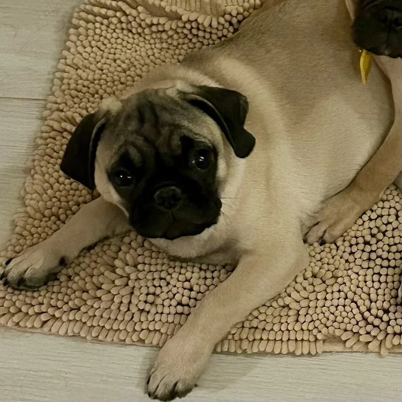 Renly-3.jpg