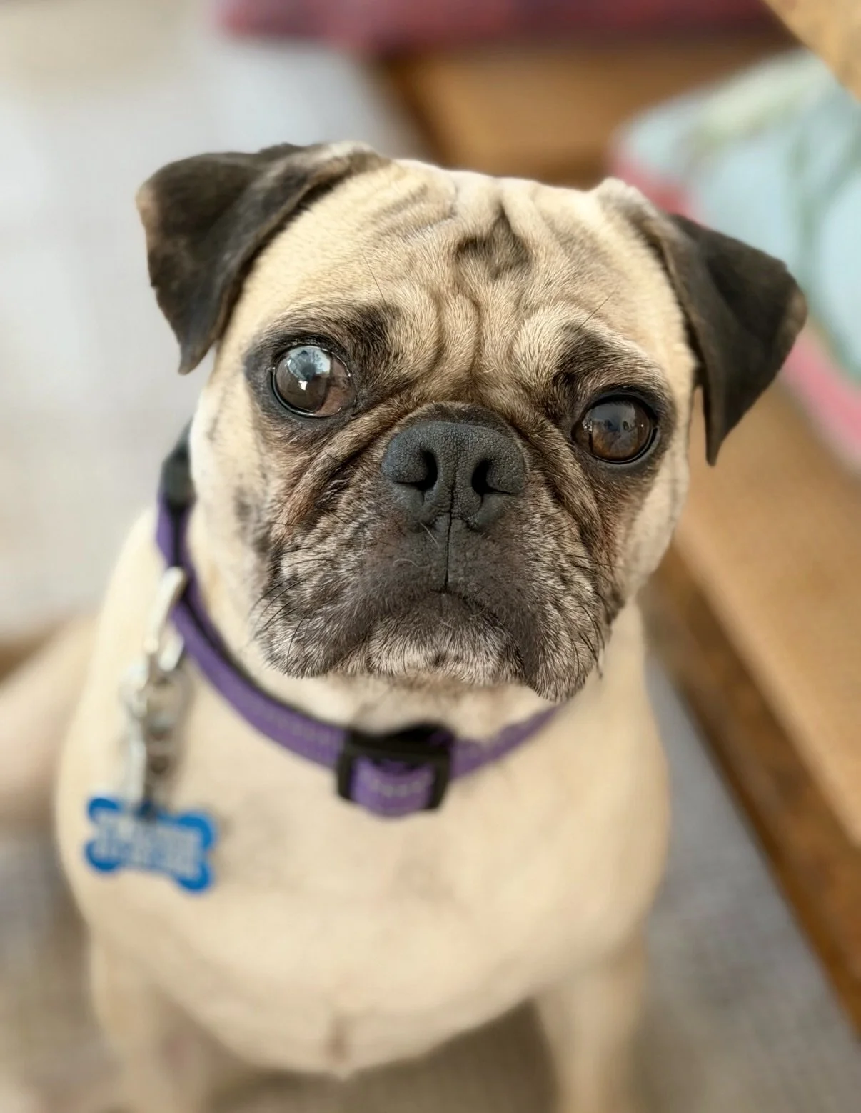 Corbin-1.jpeg