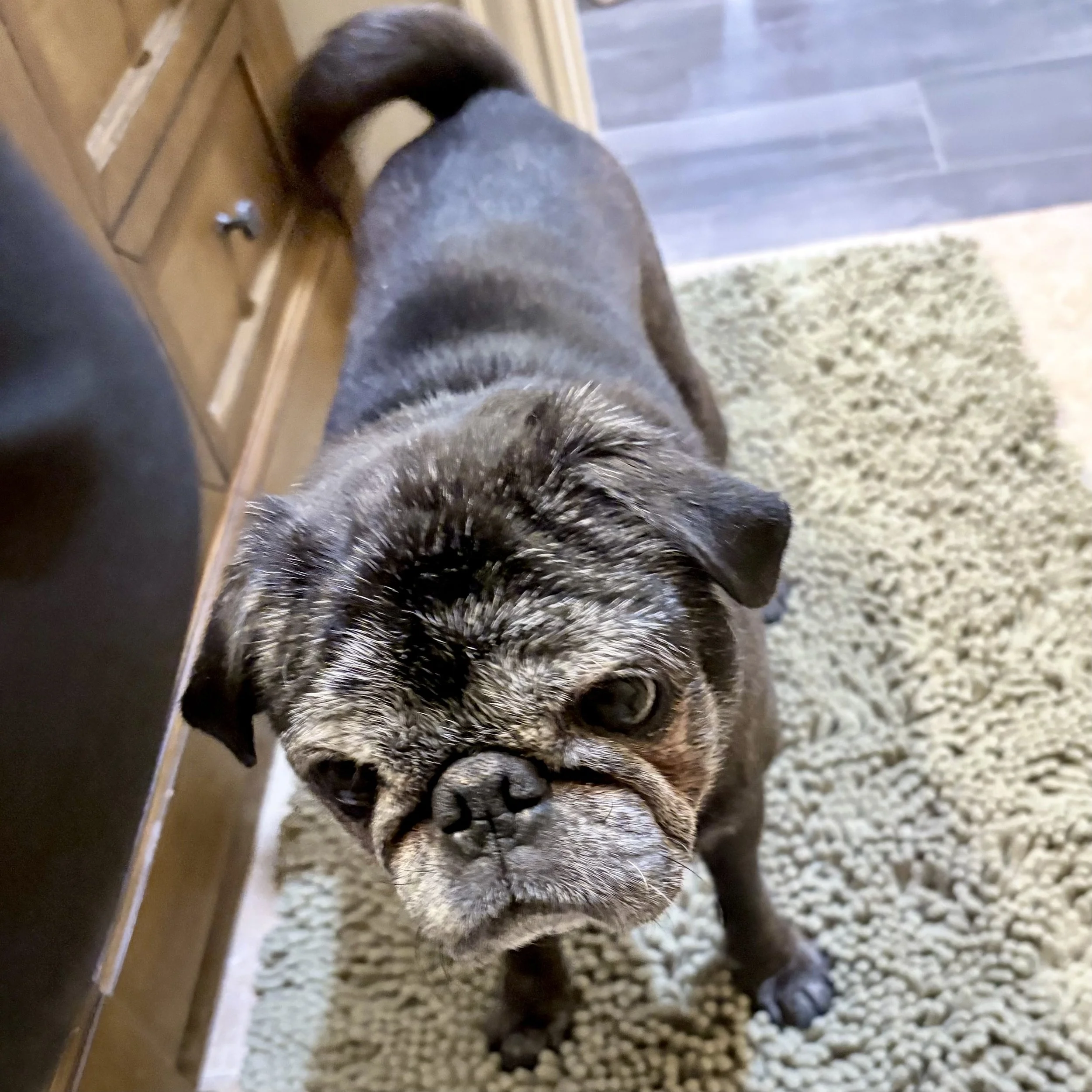 Vader_2.jpg
