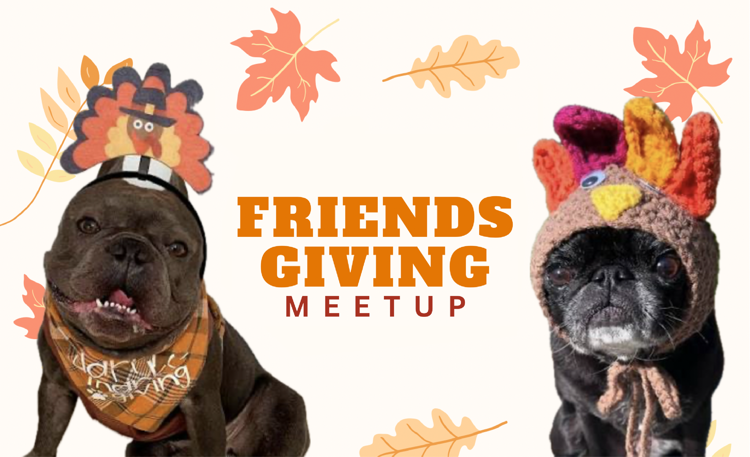 Friendsgiving Meetup