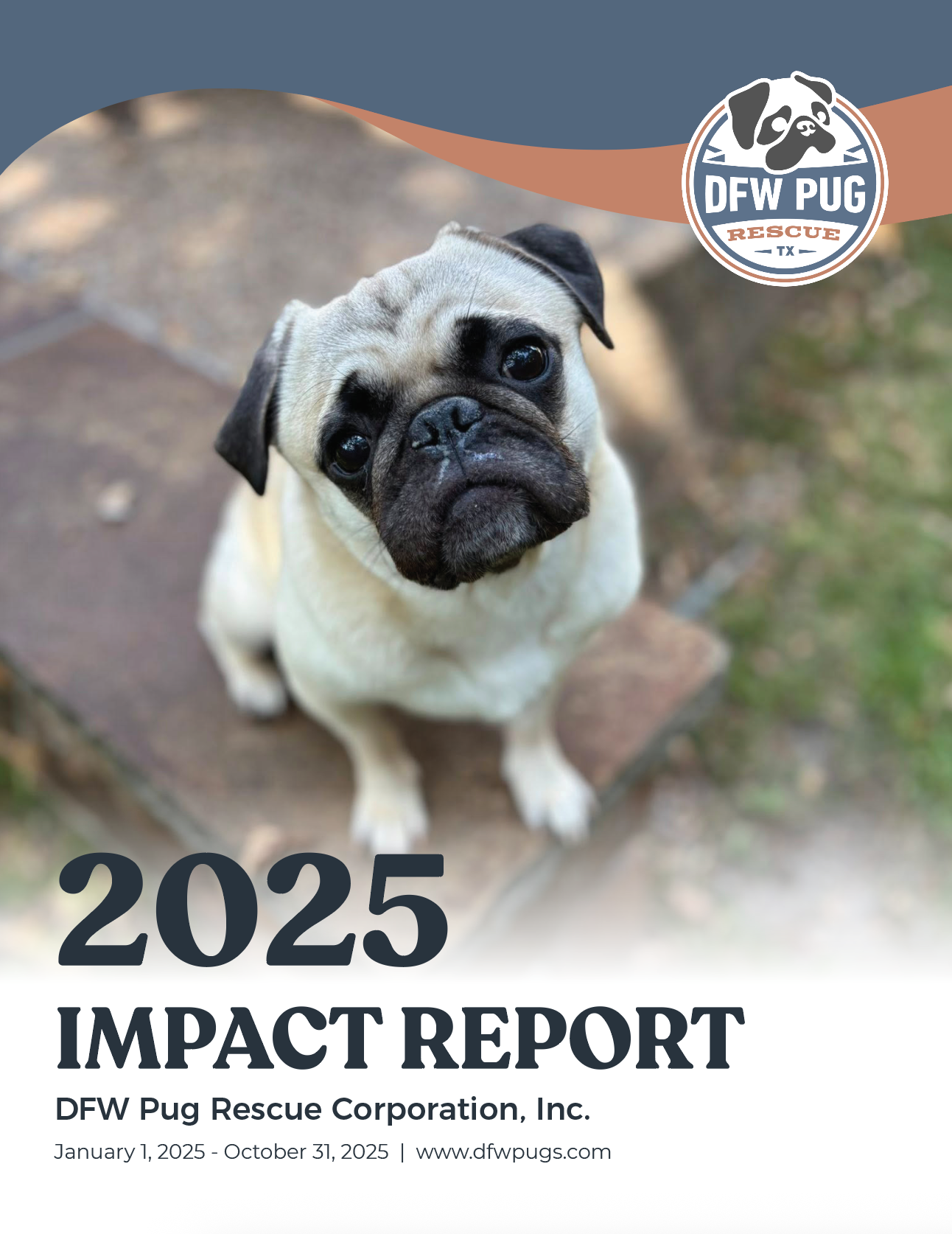 Cover page of the 2025 impact report for DFW Pug Rescue featuring a tilted photo of a pug looking up.