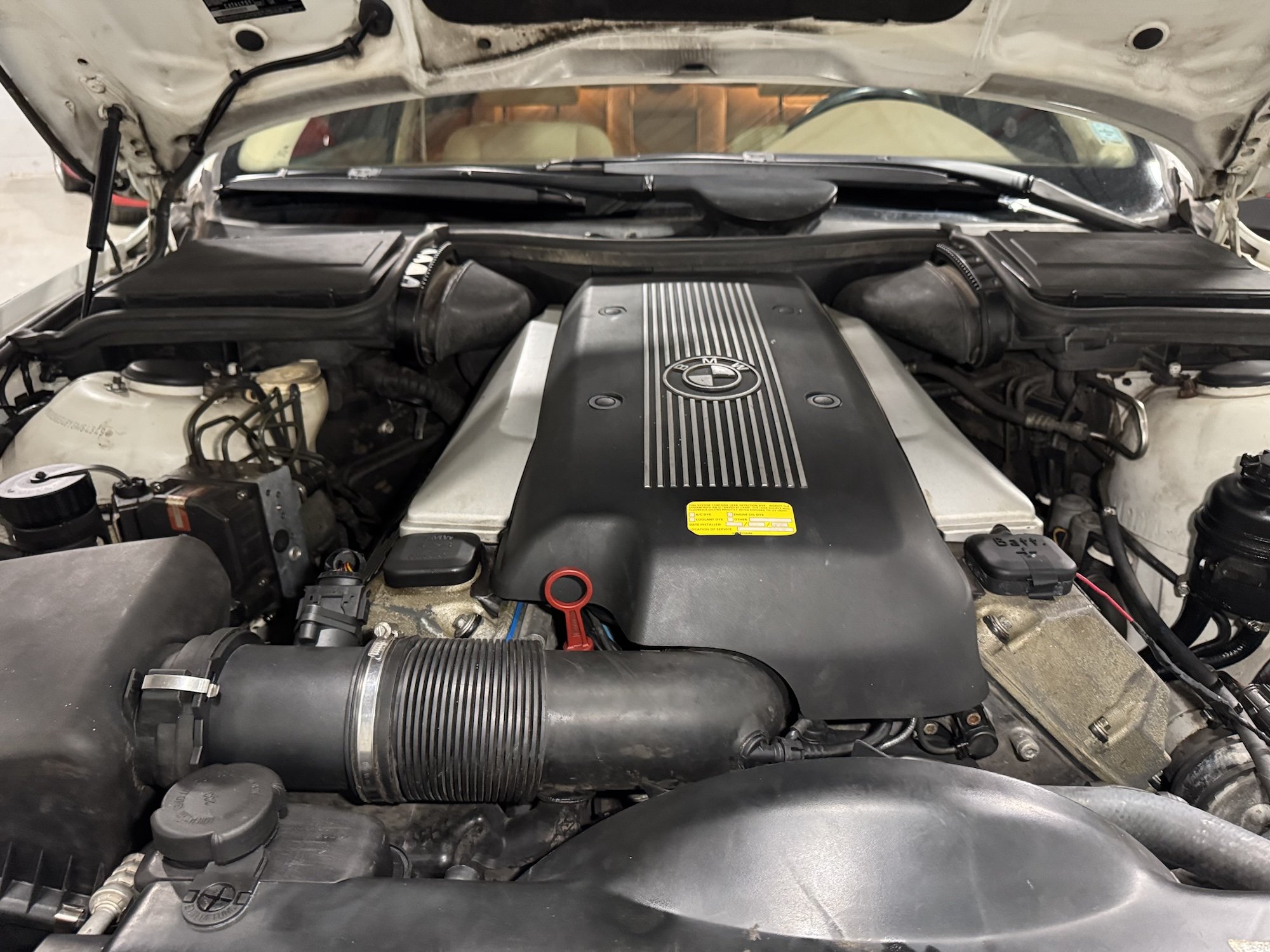 2000_BMW_540_Engine.jpeg