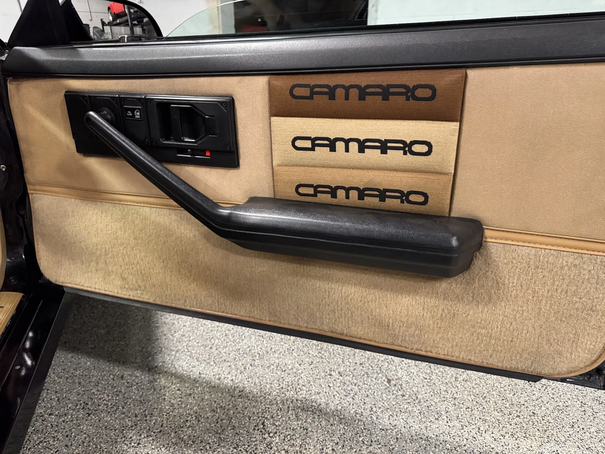 1985_Chevy_Camaro_Pass_Door.jpeg