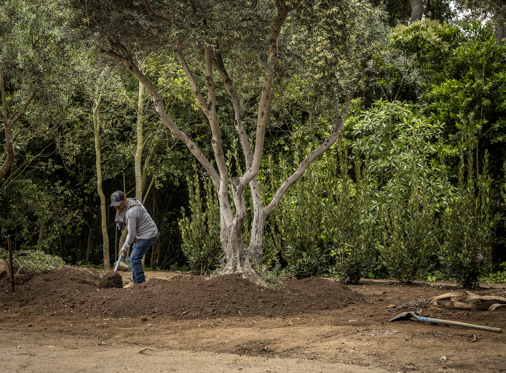 Wide Shot Shoveling Dirt.png