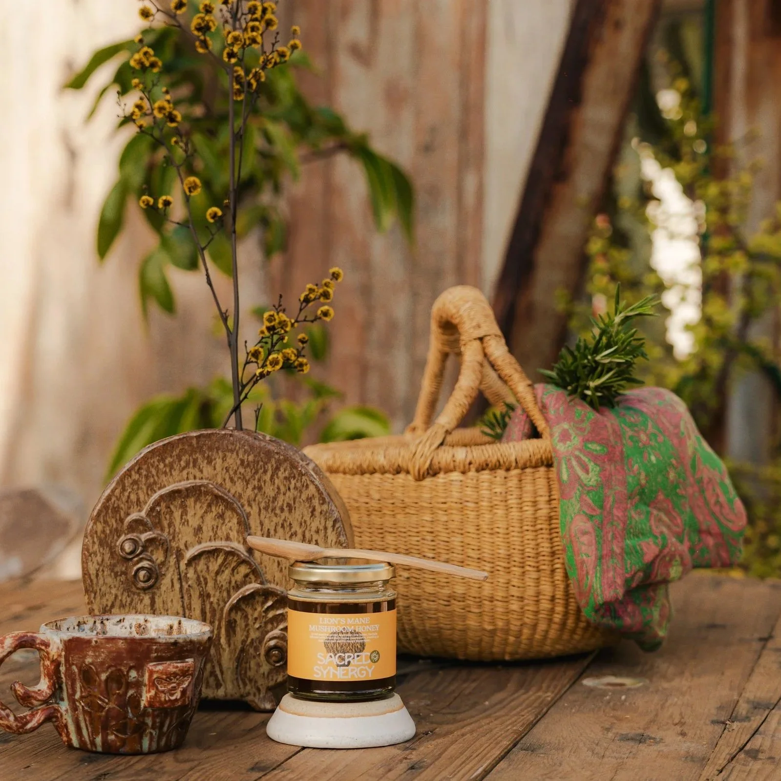 %C2%A92025+Earthen+Media_websizeSacred+Synergy3.jpg