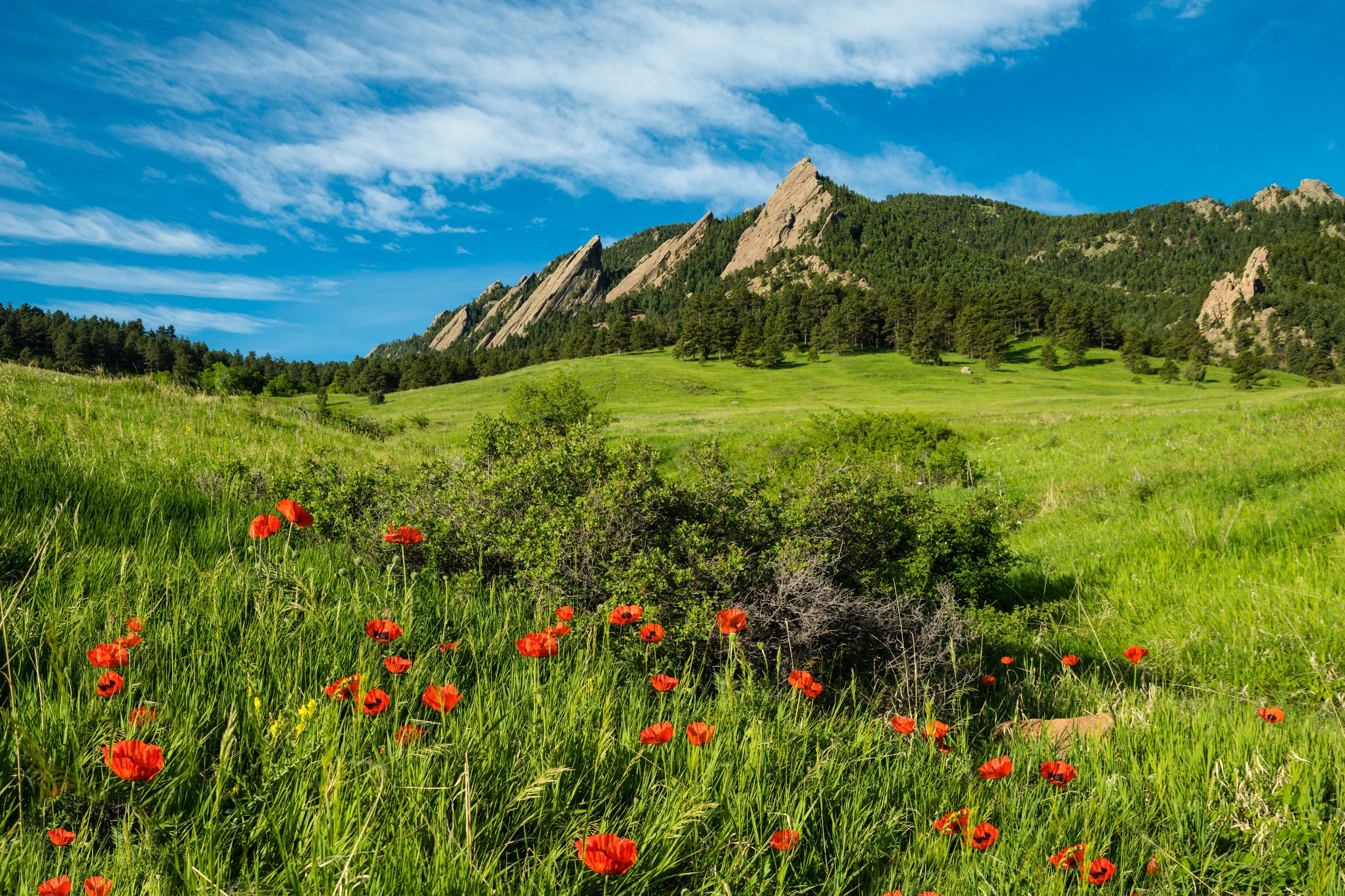 Flatiron Splendor-.jpg