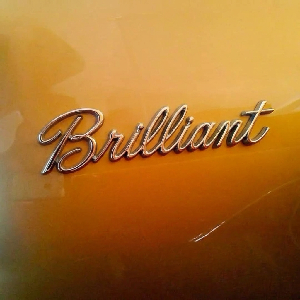 change_the_word_to_say_brilliant_9wlmjecrhqx3cosp27jj_1.png