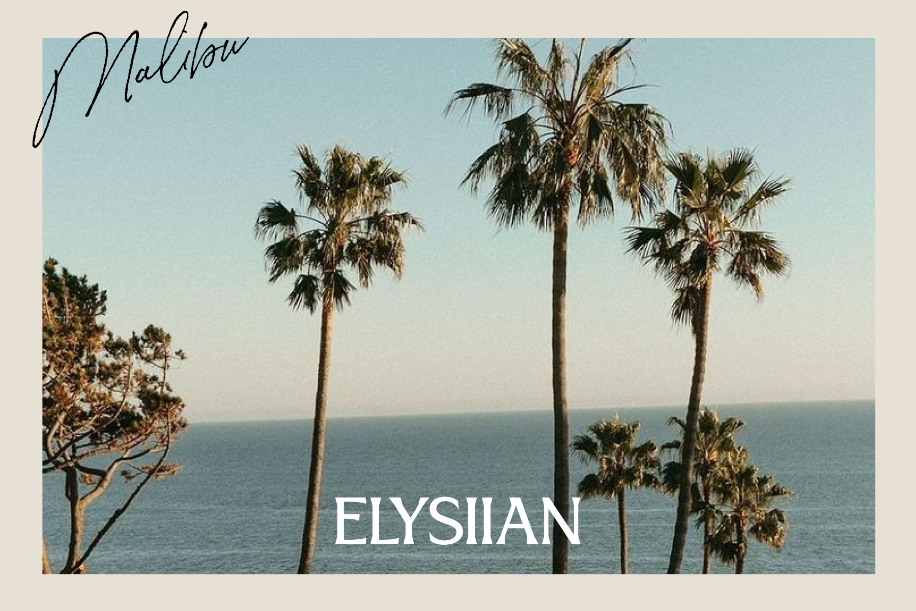 4x6 Postcard.png