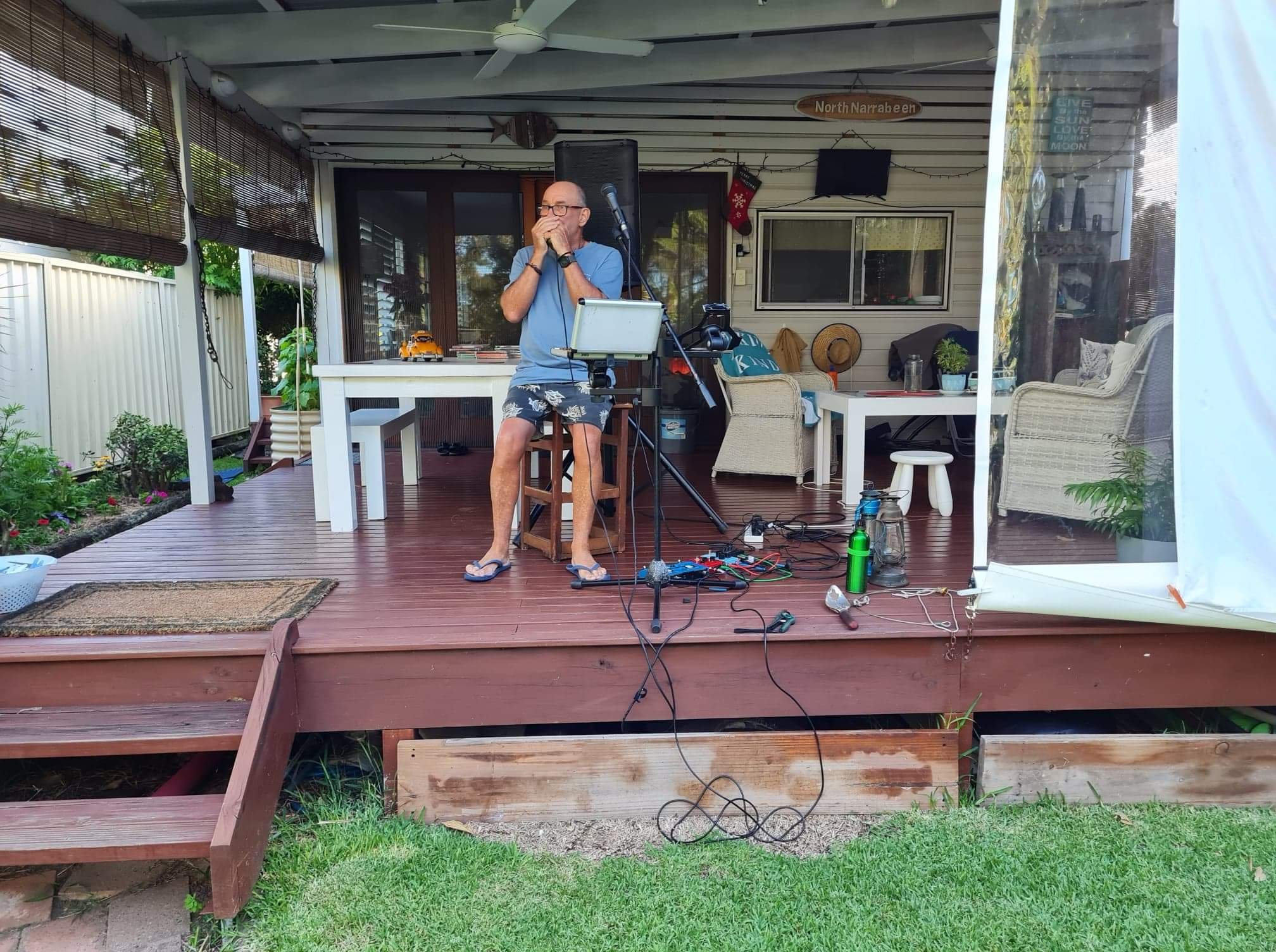 harmonica 2.jpeg