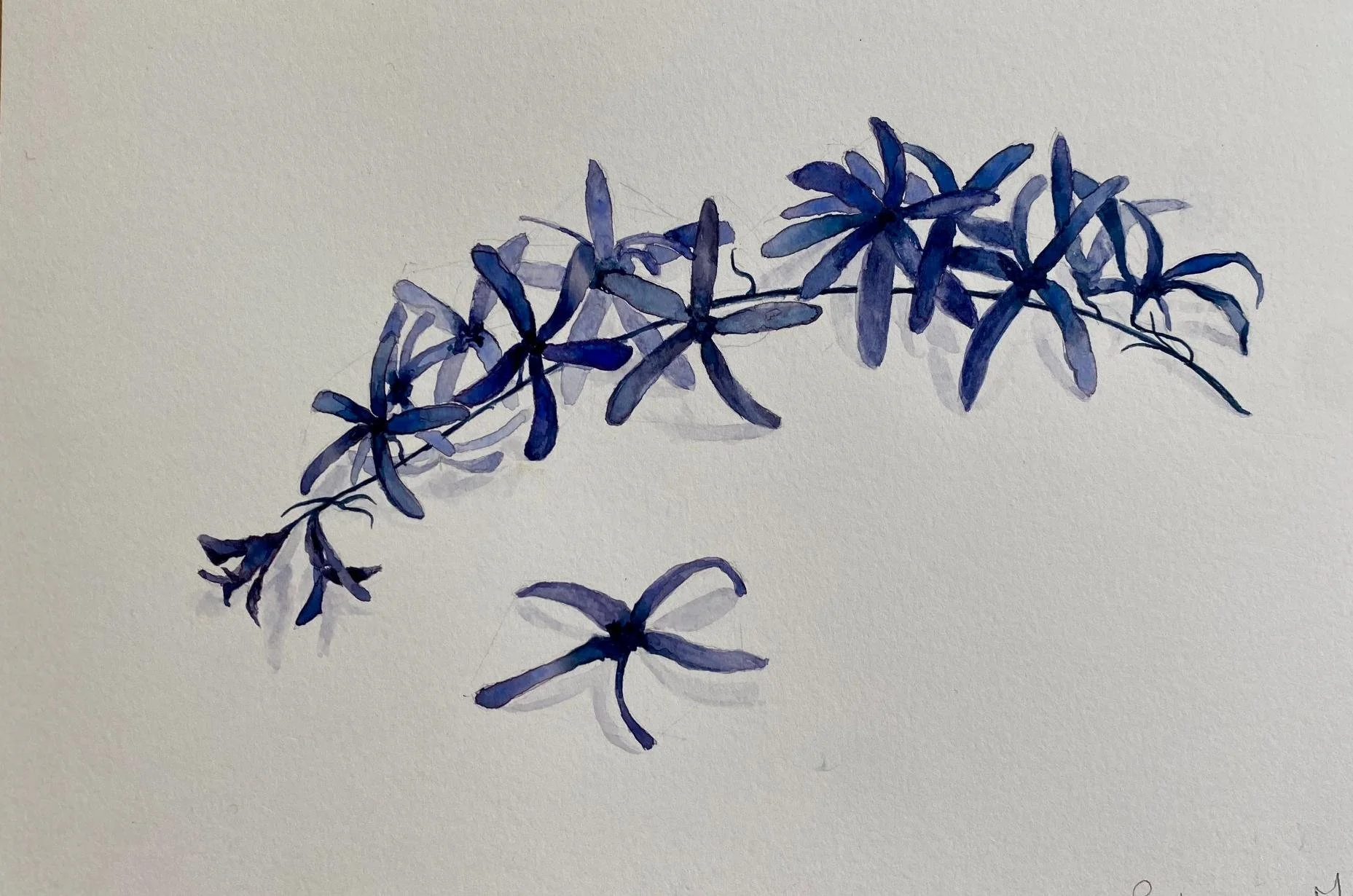 Watercolour-Ink-6.jpg