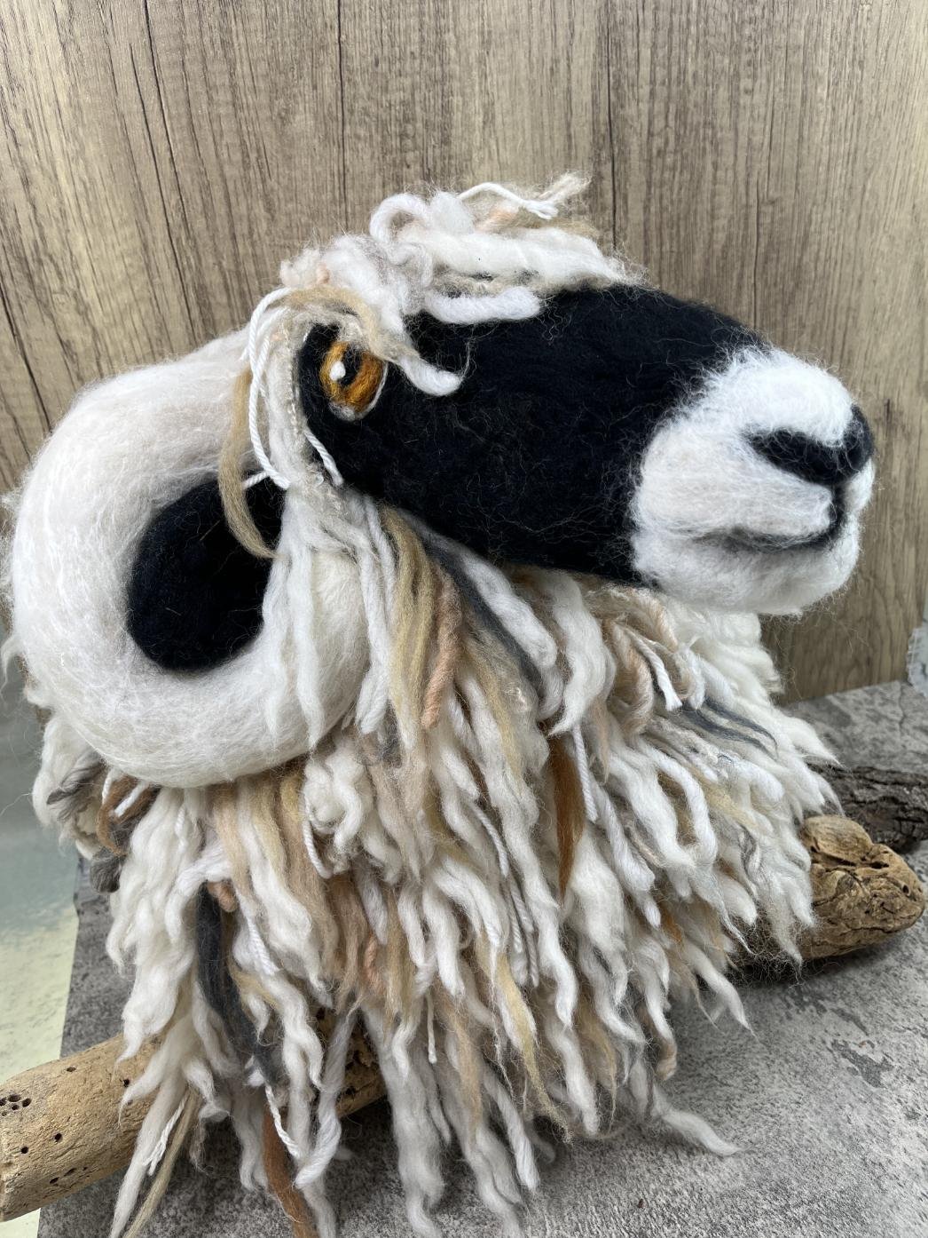 WildWoolly2.jpg