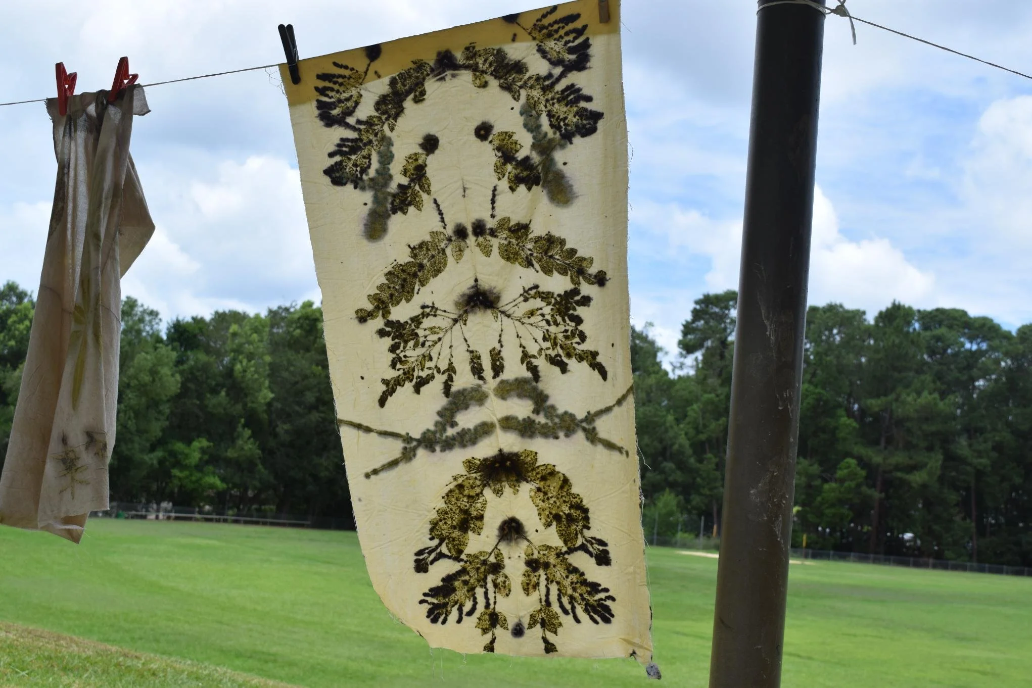 BotanicalPrinting10.jpg