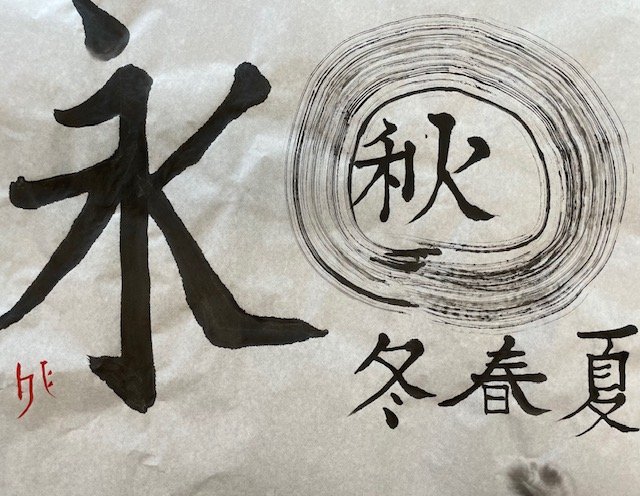 image5.jpeg