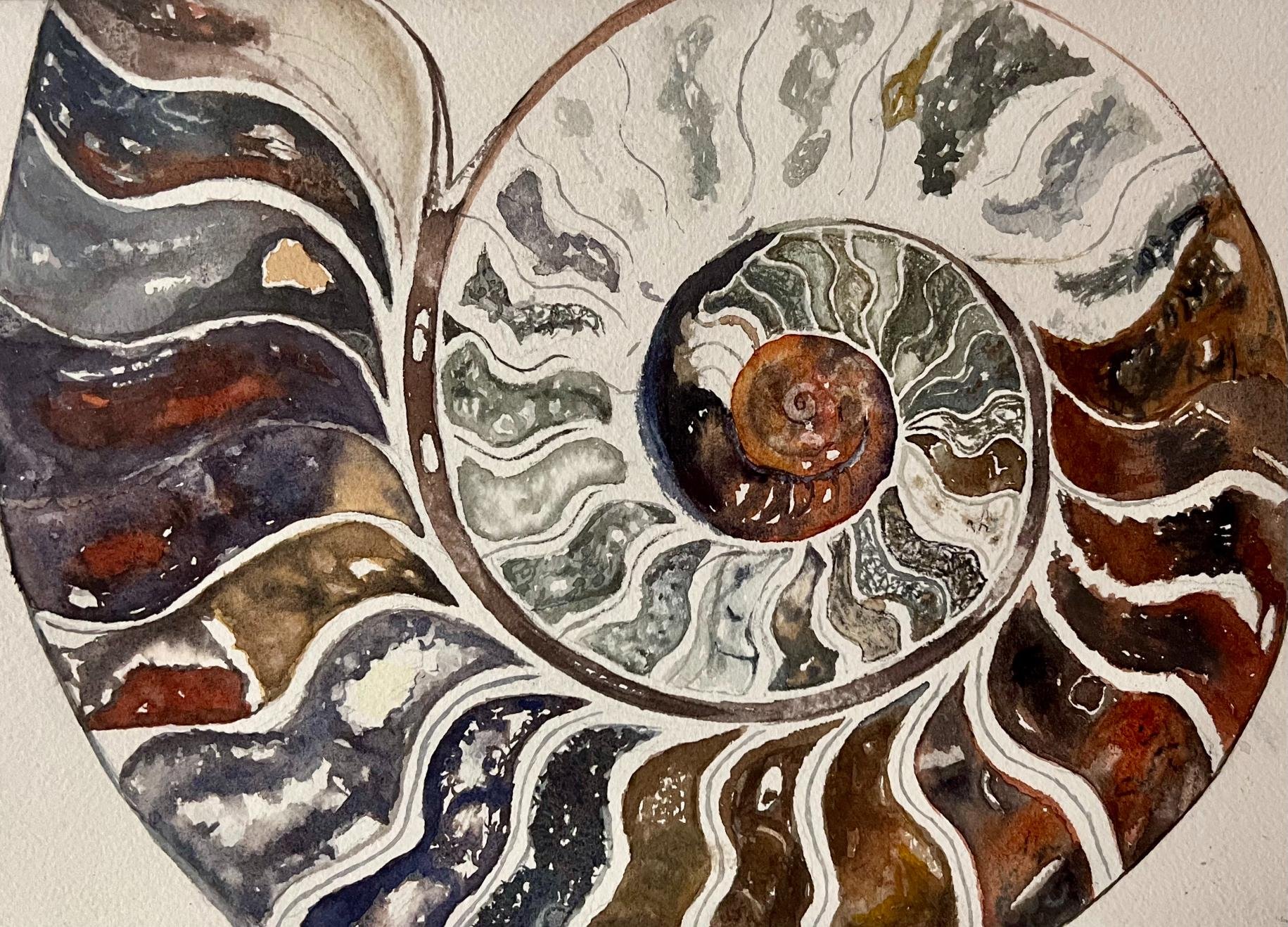 Ammonite.jpg