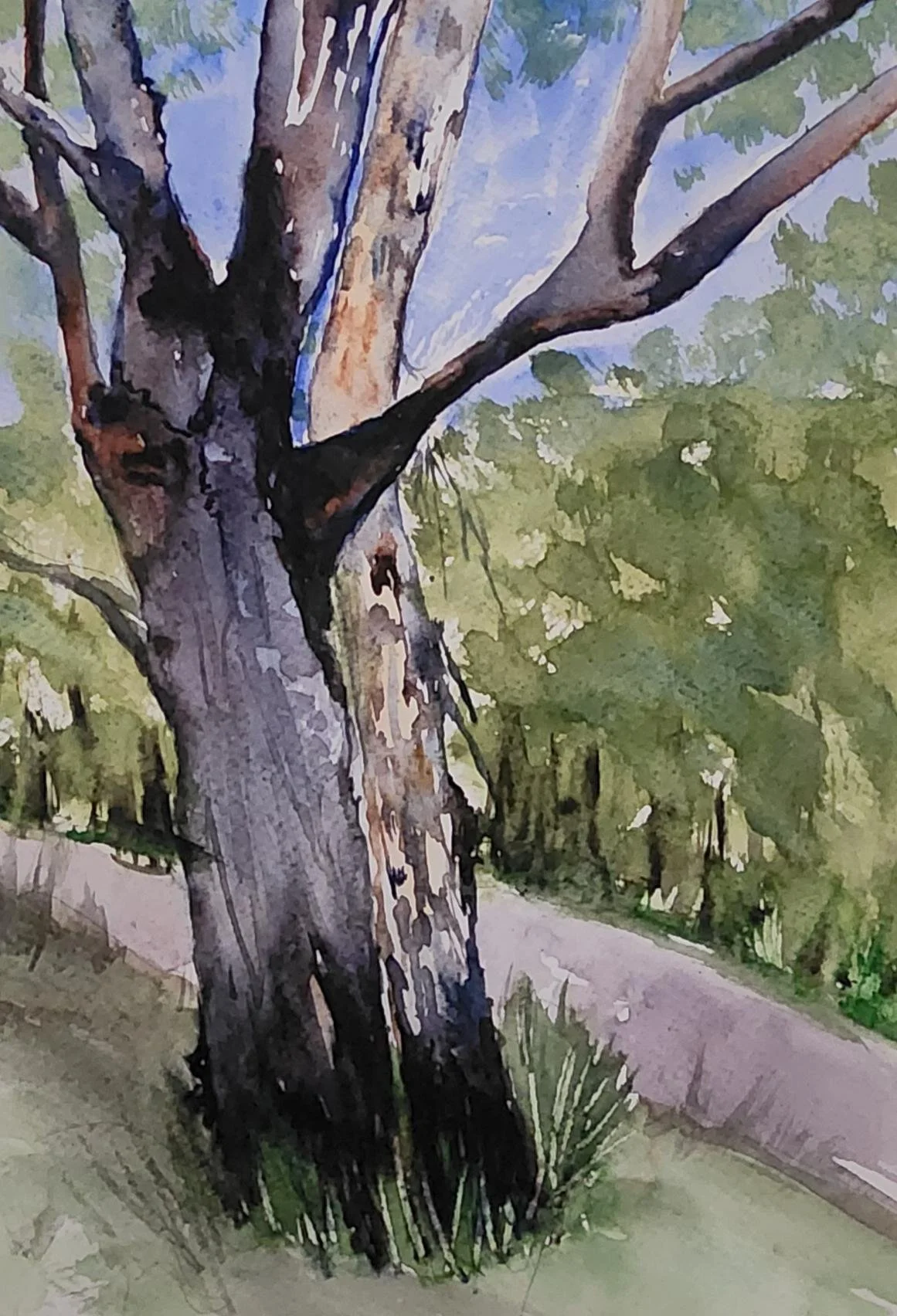 WatercolourMagic8.jpg