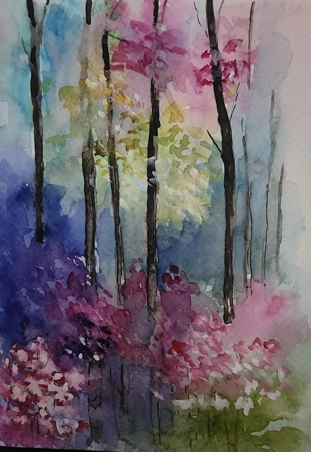 WatercolourMagic2.jpg