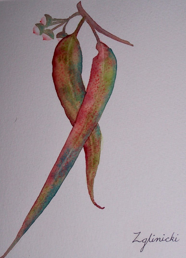 Botanical_Watercolour_Ink09_Camp_Creative0002.jpg