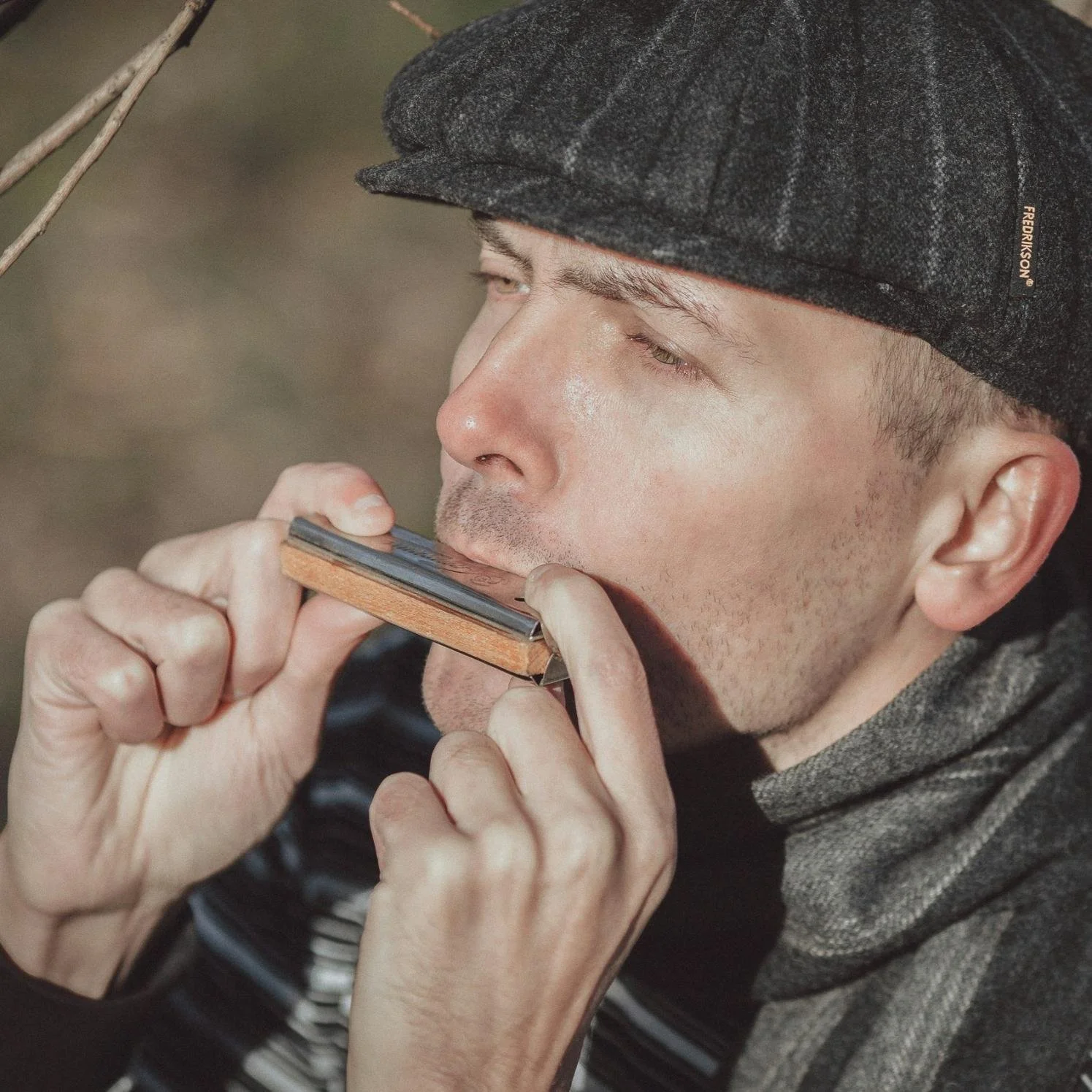 Harmonica10.jpg (Copy)
