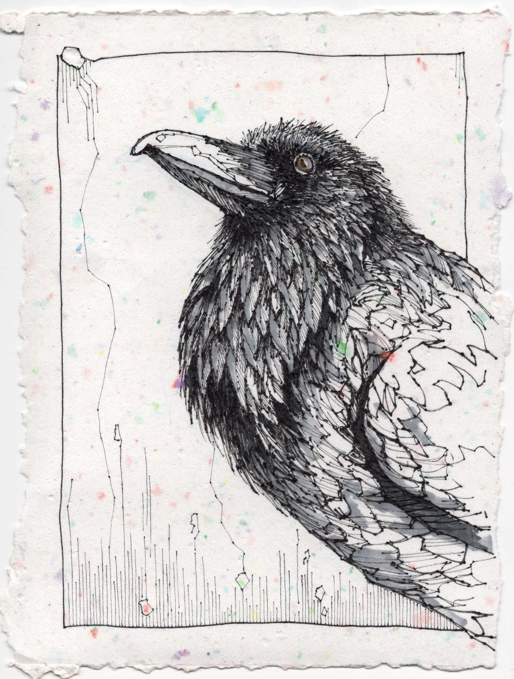 DrawingSafari7.jpg