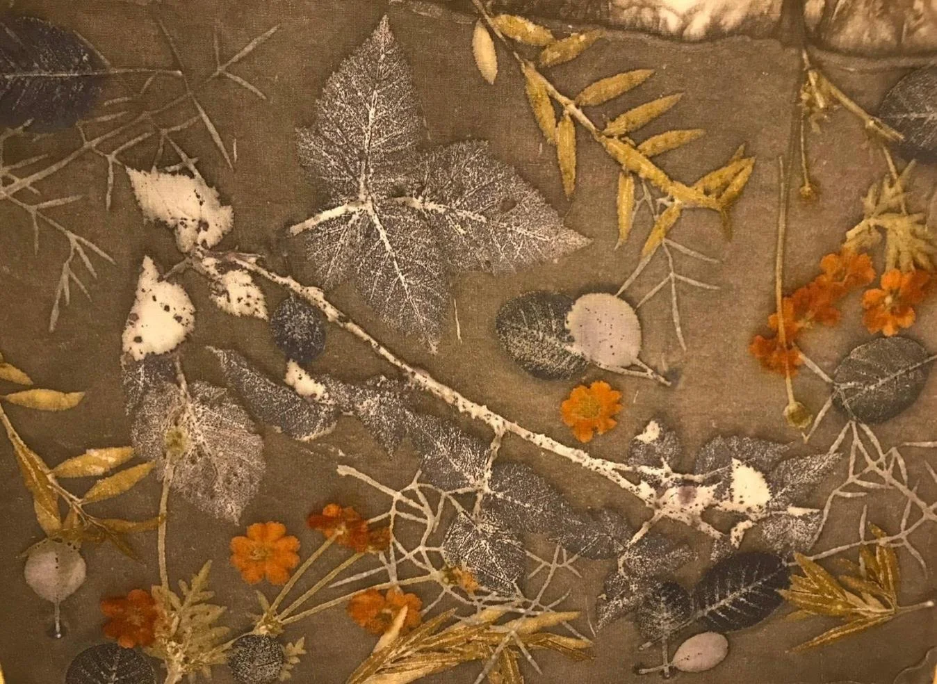 BotanicalPrinting6.jpg