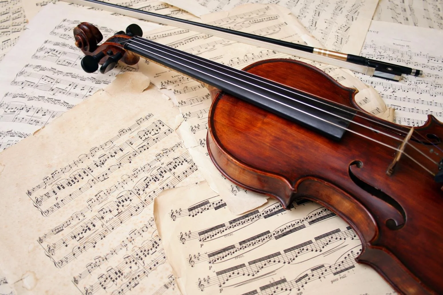 StringOrchestra7.jpg