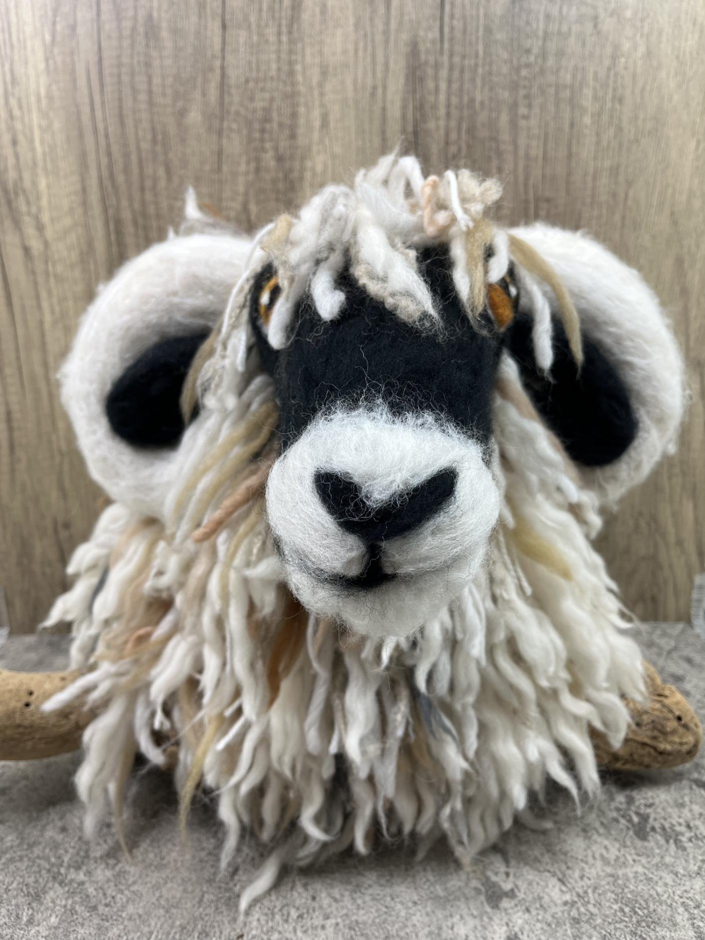 Wild Woolly: Sheep Taxidermy
