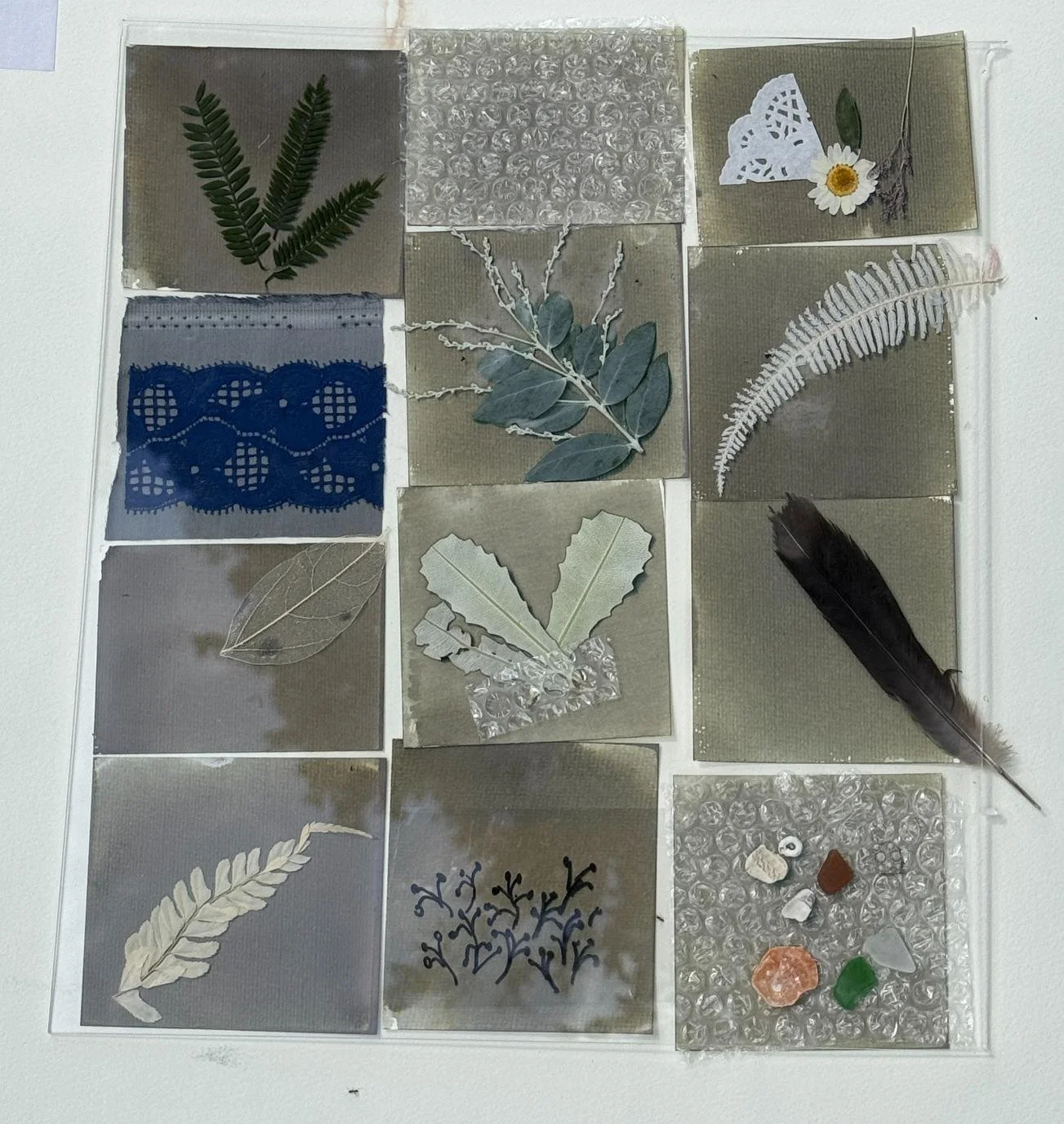 Cyanotype1.jpg