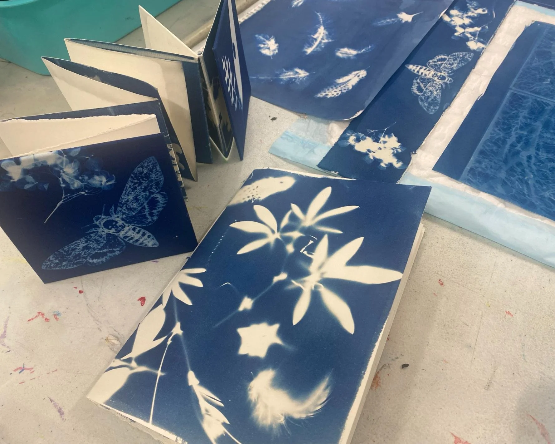 Cyanotype8.jpg