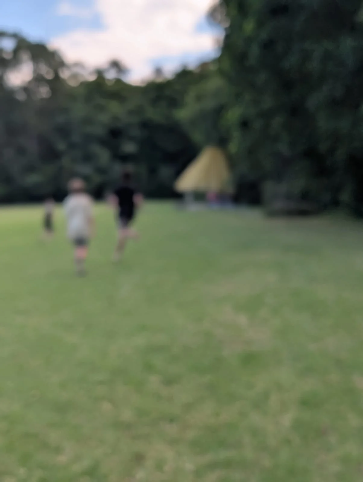 WildSkills11.jpg