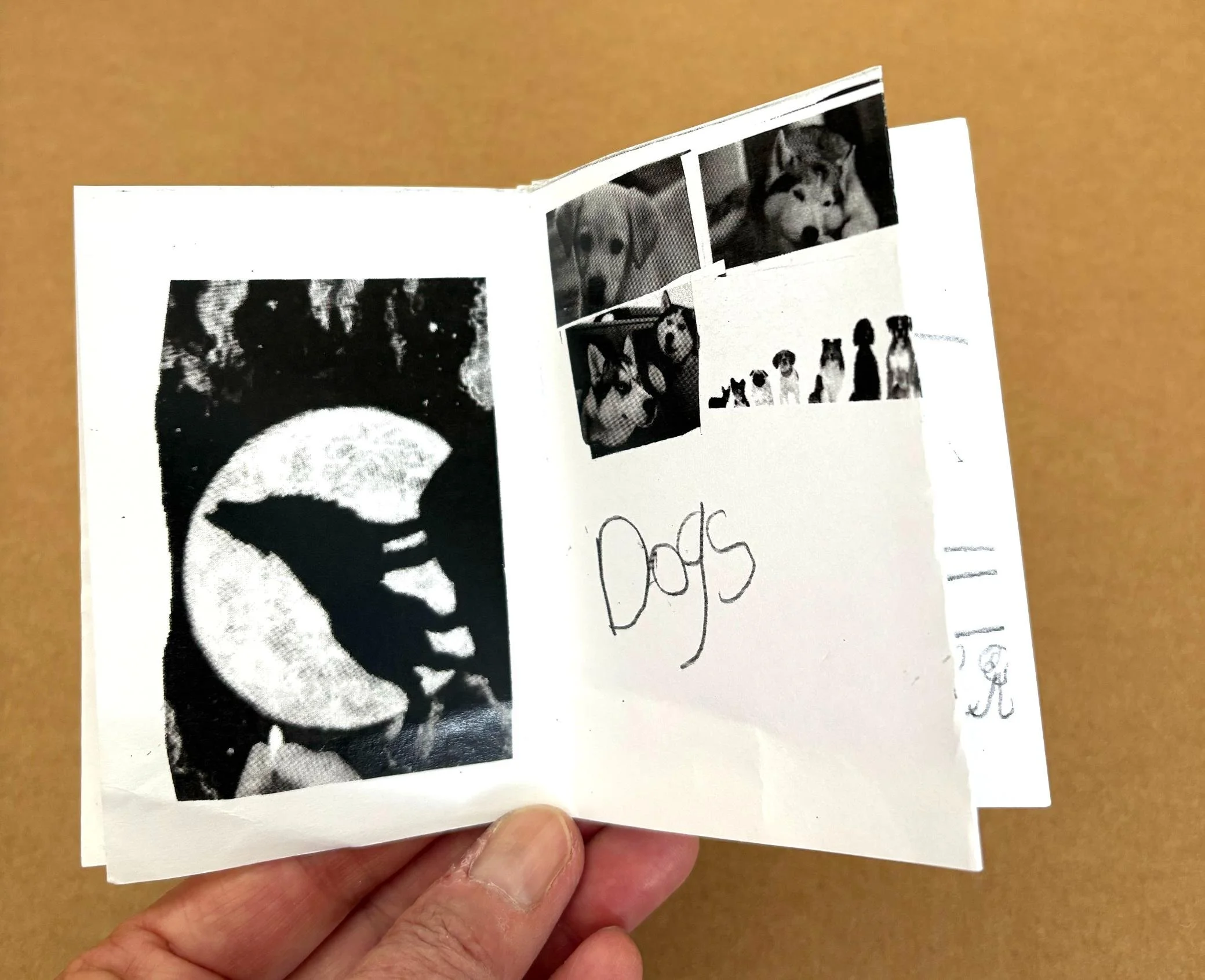 ZinesBookbinding2.jpg