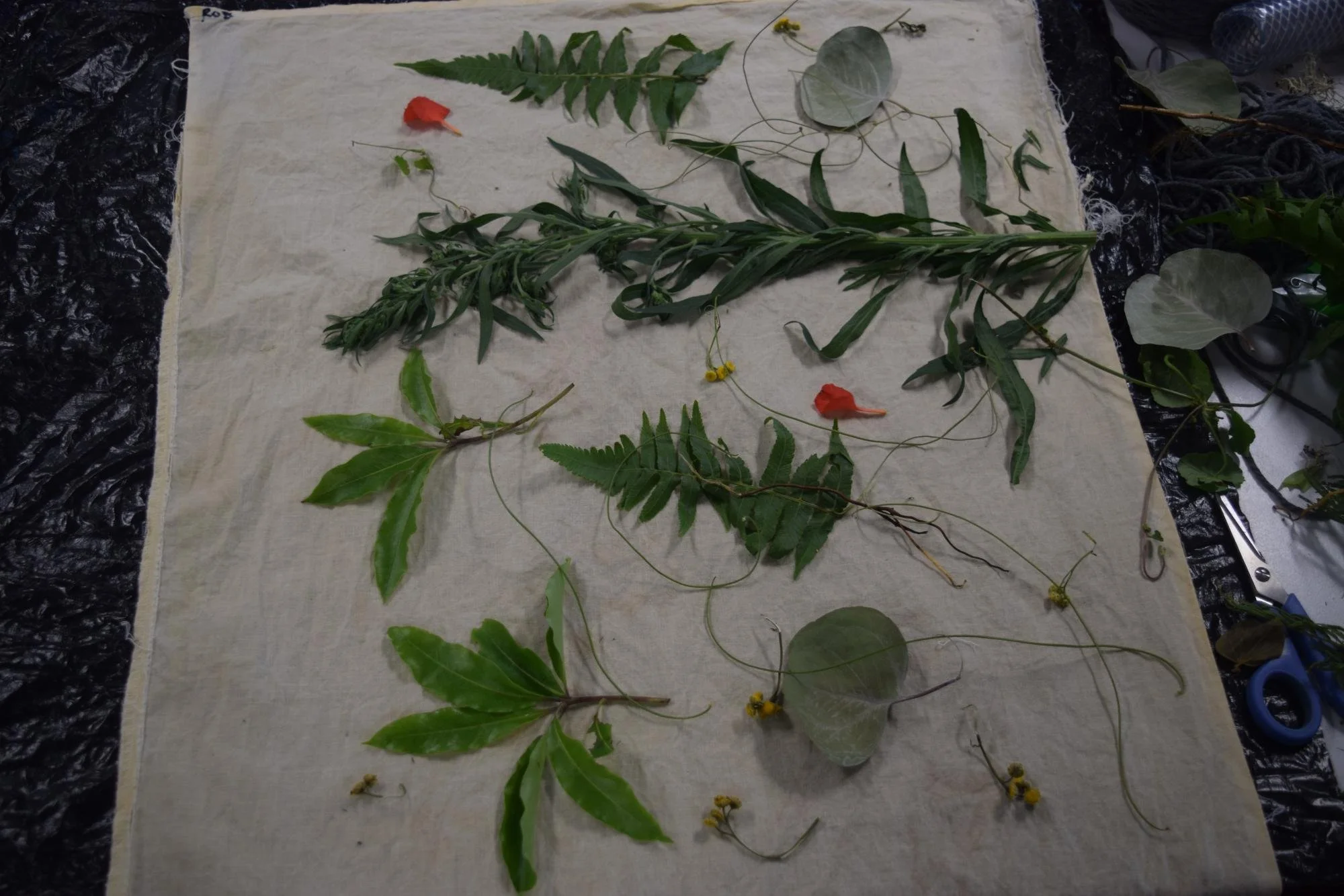 BotanicalPrinting7.jpg