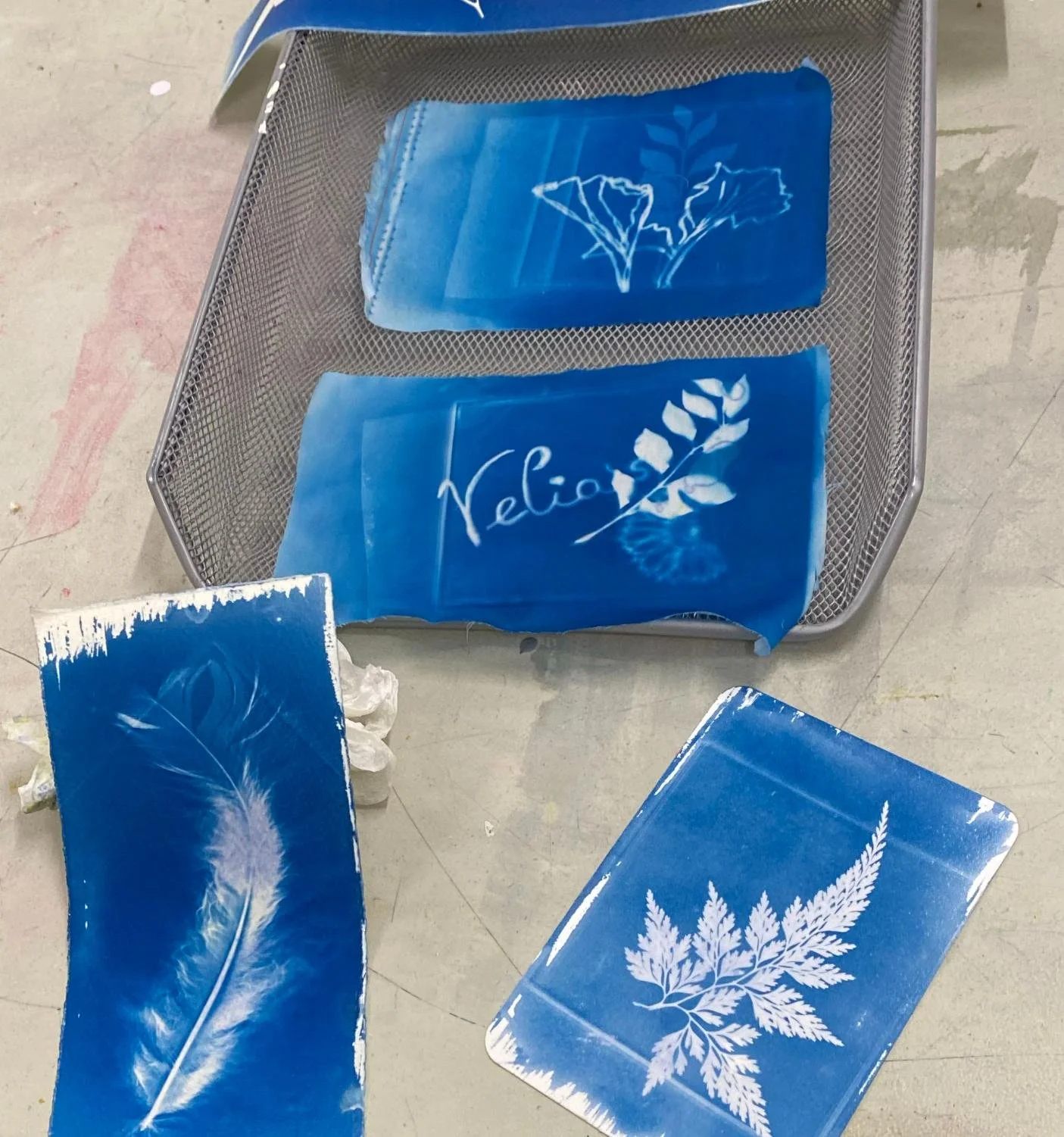Cyanotype10.jpg