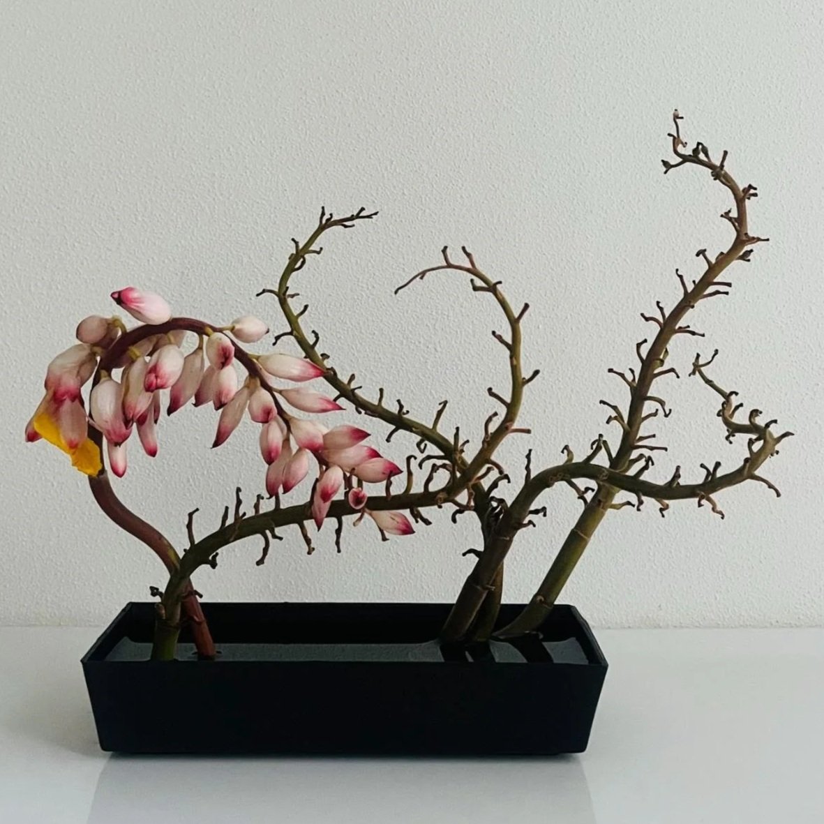 Ikebana5.jpg