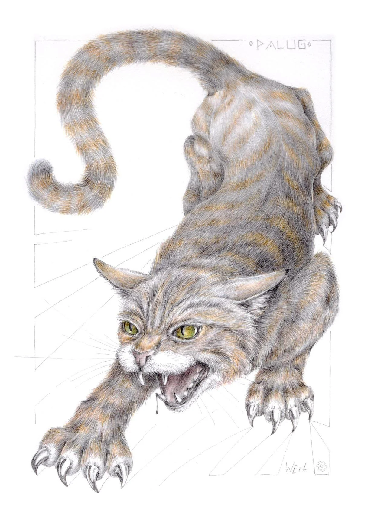 DrawingSafari6.jpg