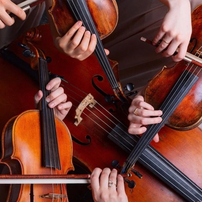 StringOrchestra2.jpg