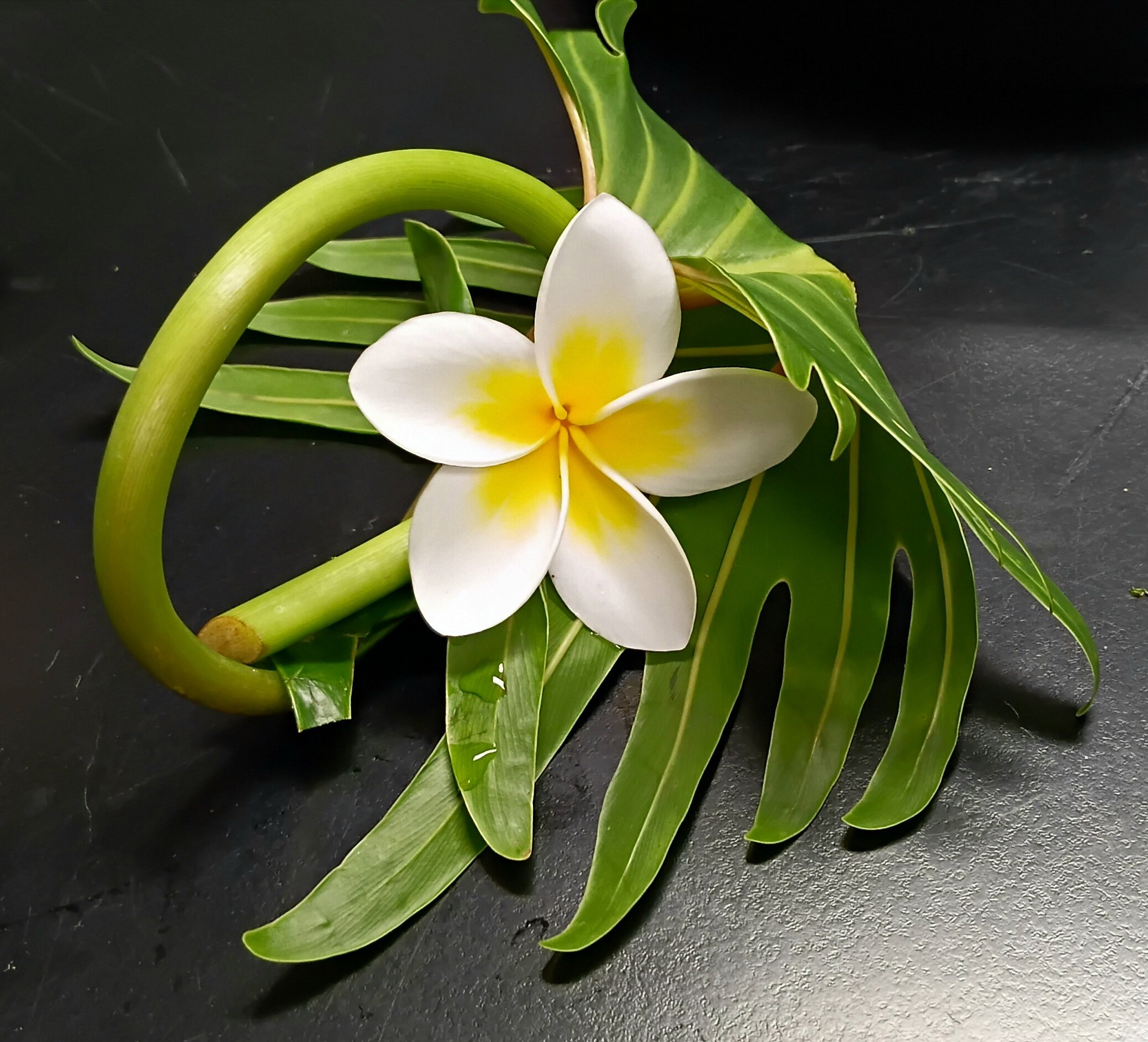 Ikebana4.jpeg