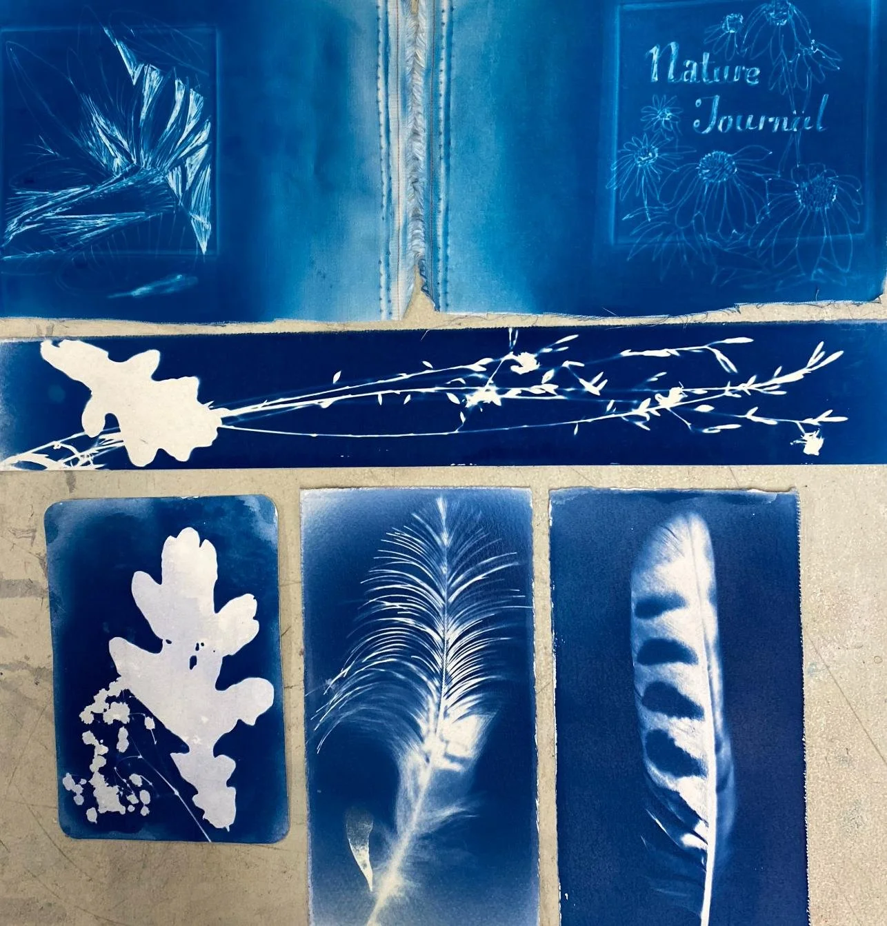 Cyanotype5.jpg