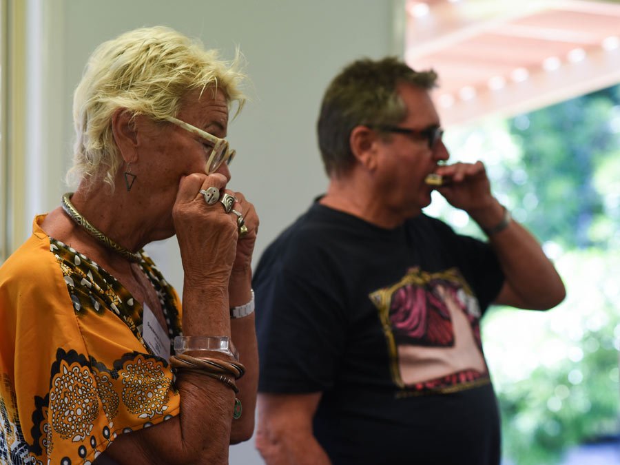 Harmonica1.jpg (Copy)