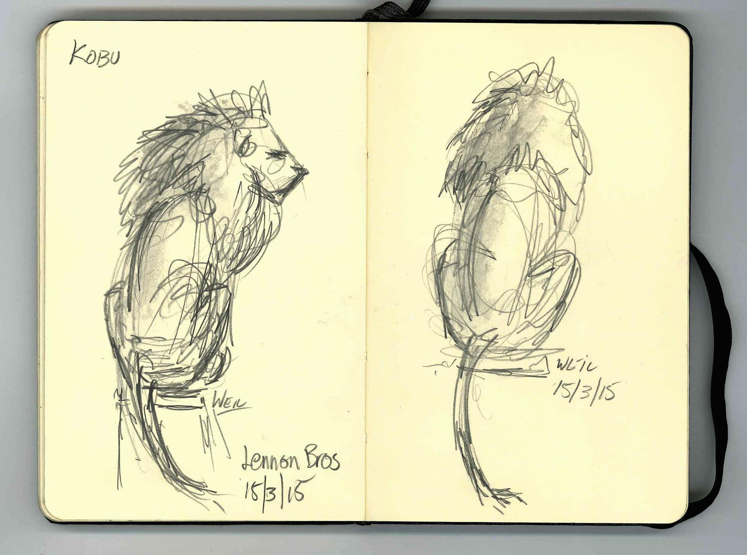 Lion from life.jpg