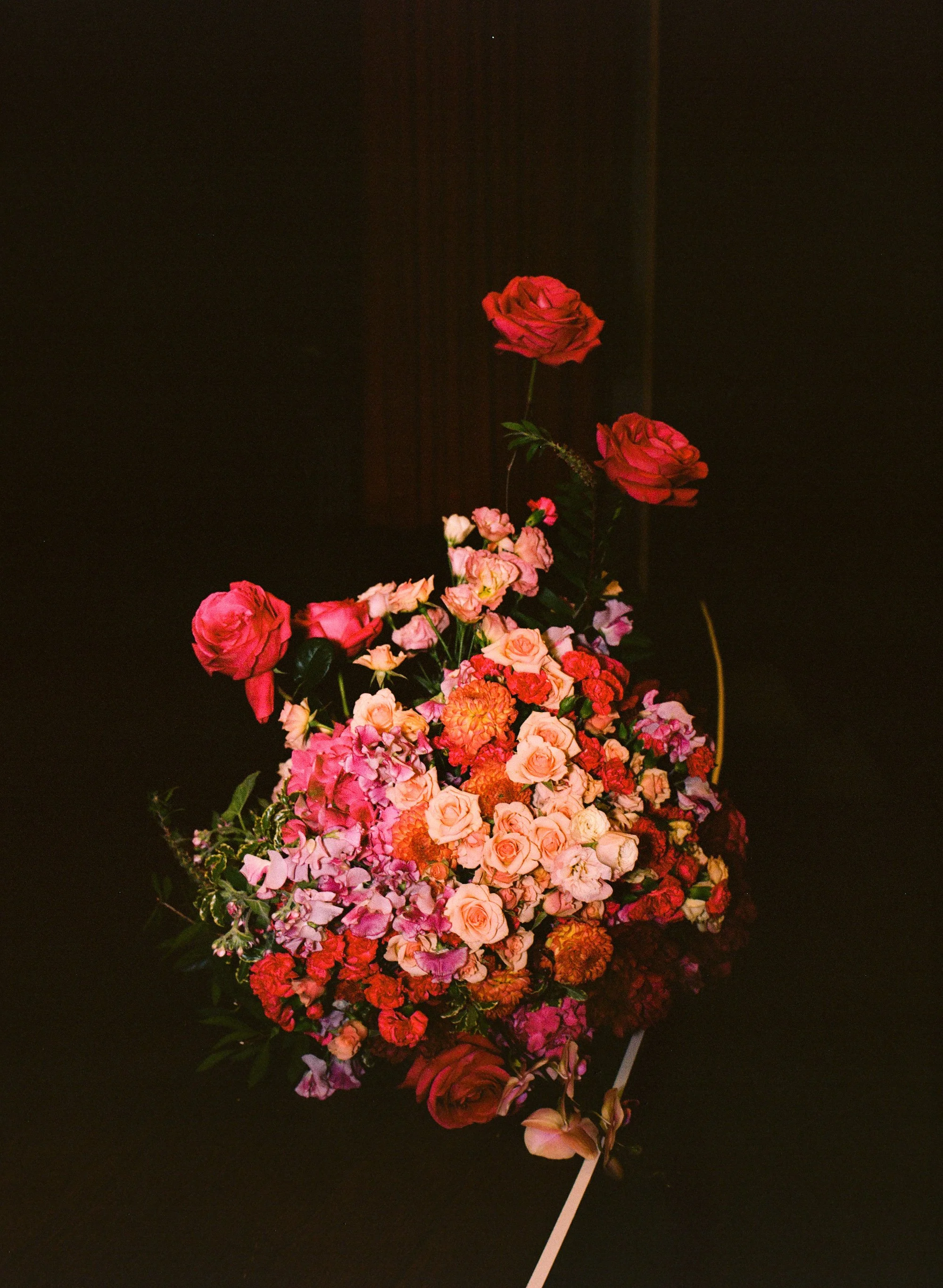 jenny-daniel-film-134.jpg
