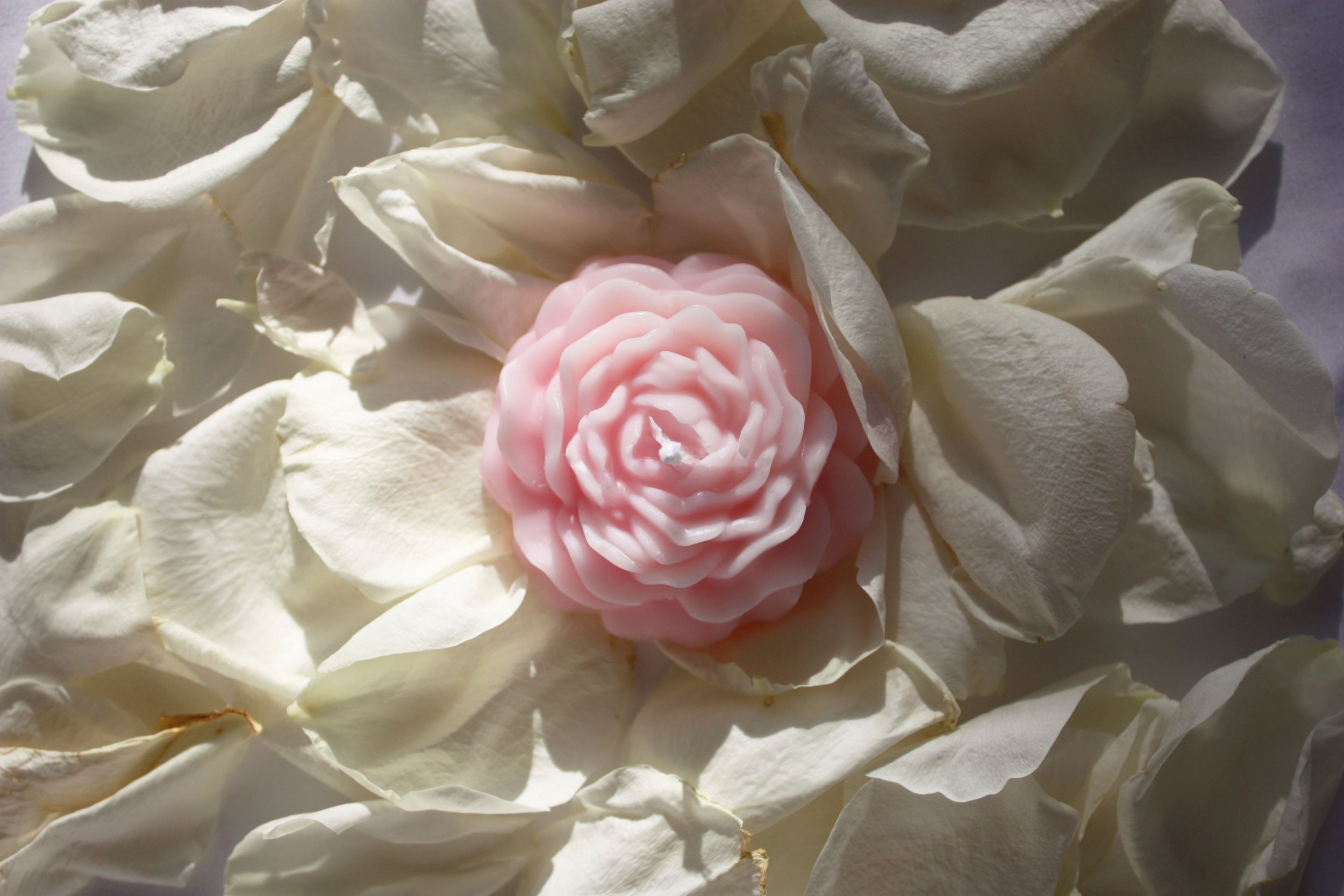 Sfloweronpetals.jpg
