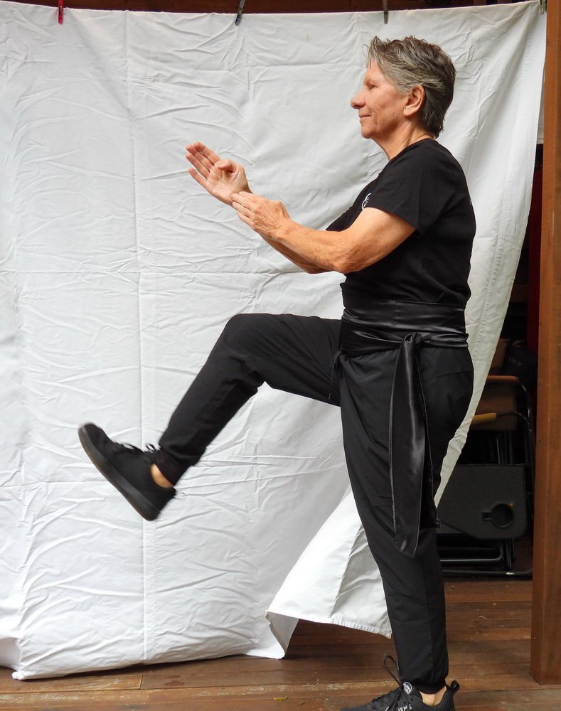 Kick, parry, punch 1