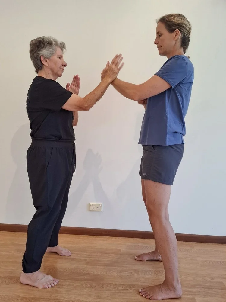 Chain punching and parry (deflect and strike)  exercise-2