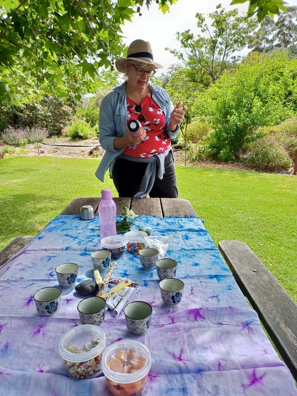 Wollongong Botanic Gardens
Forest Bathing Retreat with Debbie Dawson