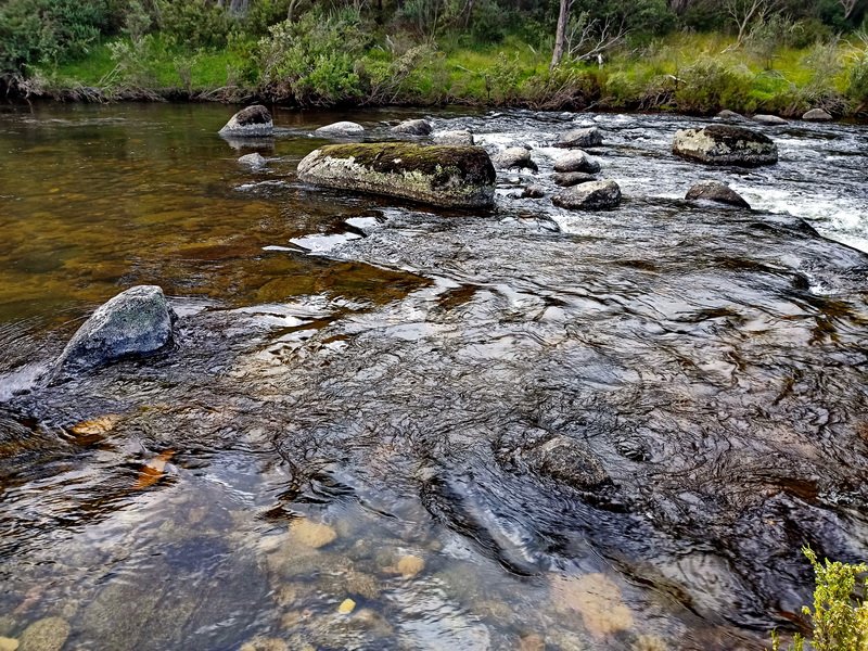 Nature Immersion 72.jpg