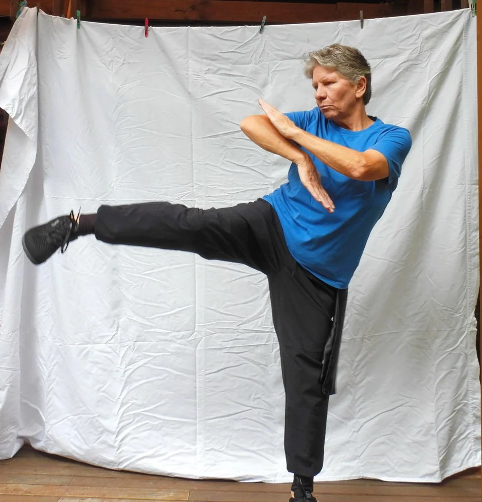 Su bong (protective arms) with side kick 2